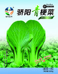 油菜 青菜菜 包装 塑料袋 