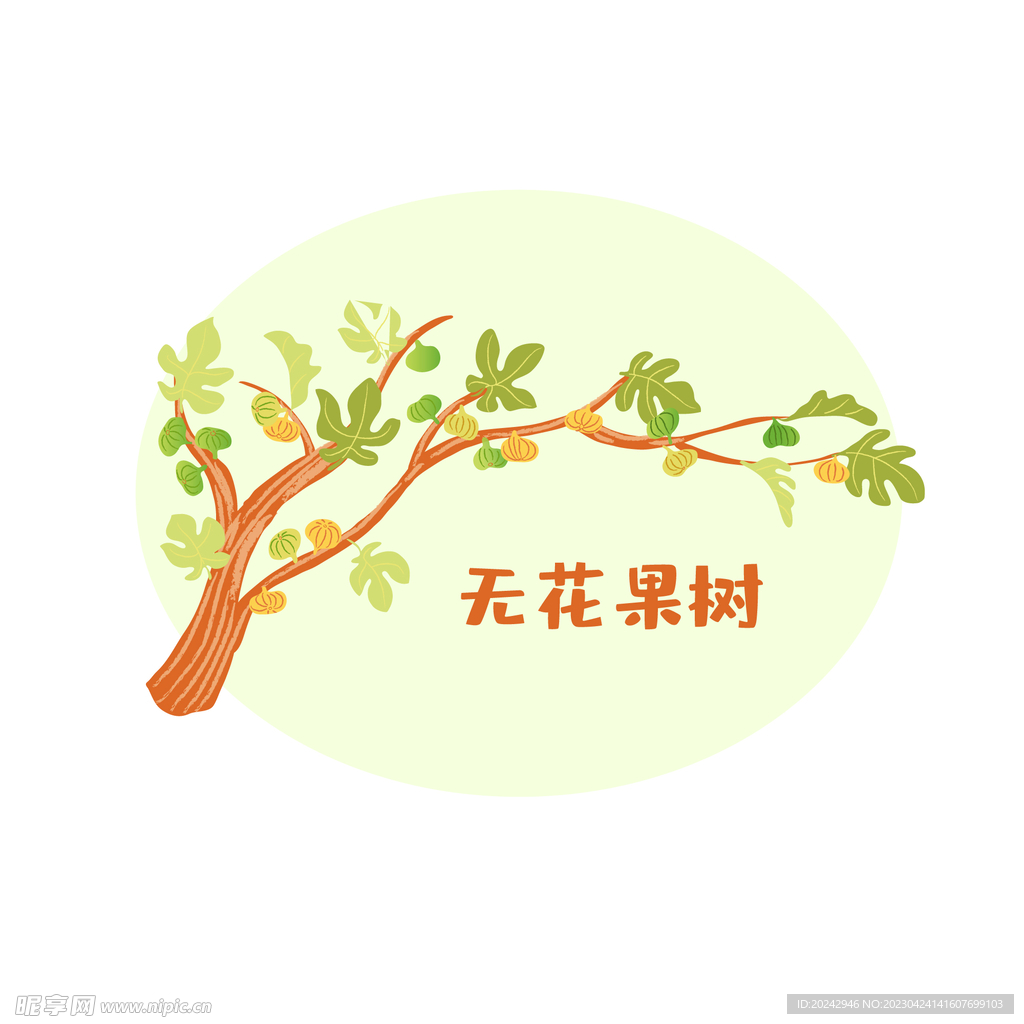 无花果树