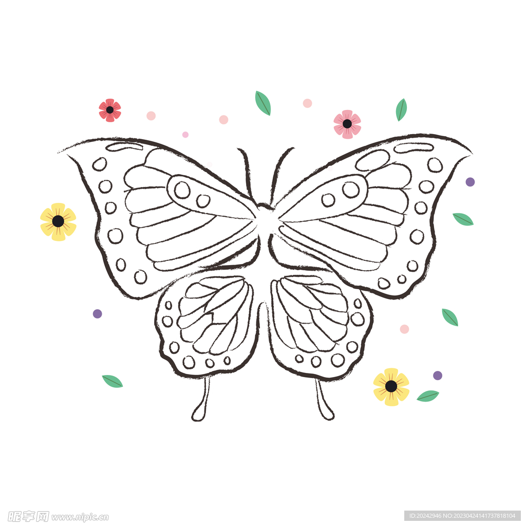 蝴蝶线稿 