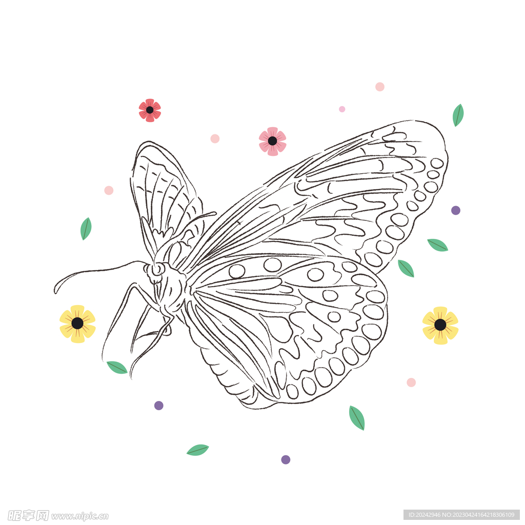 蝴蝶线稿 