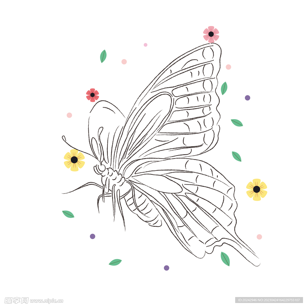 蝴蝶线稿 