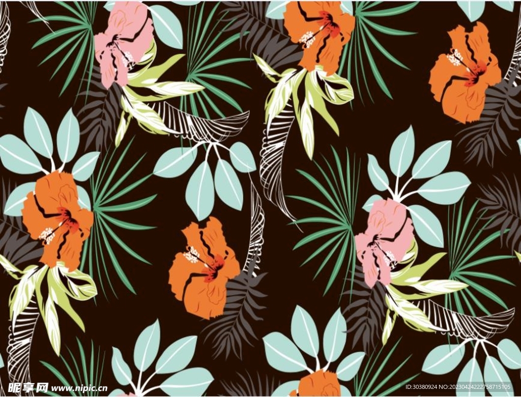 热带花 热带叶子 