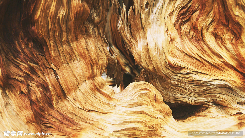 木板木材木纹背景