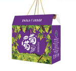 葡萄包装平面展开图