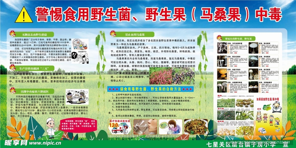 警惕食用野生菌野生果中毒