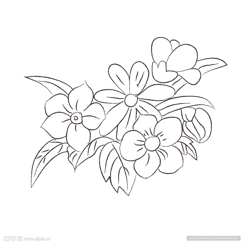 花卉黑白线稿