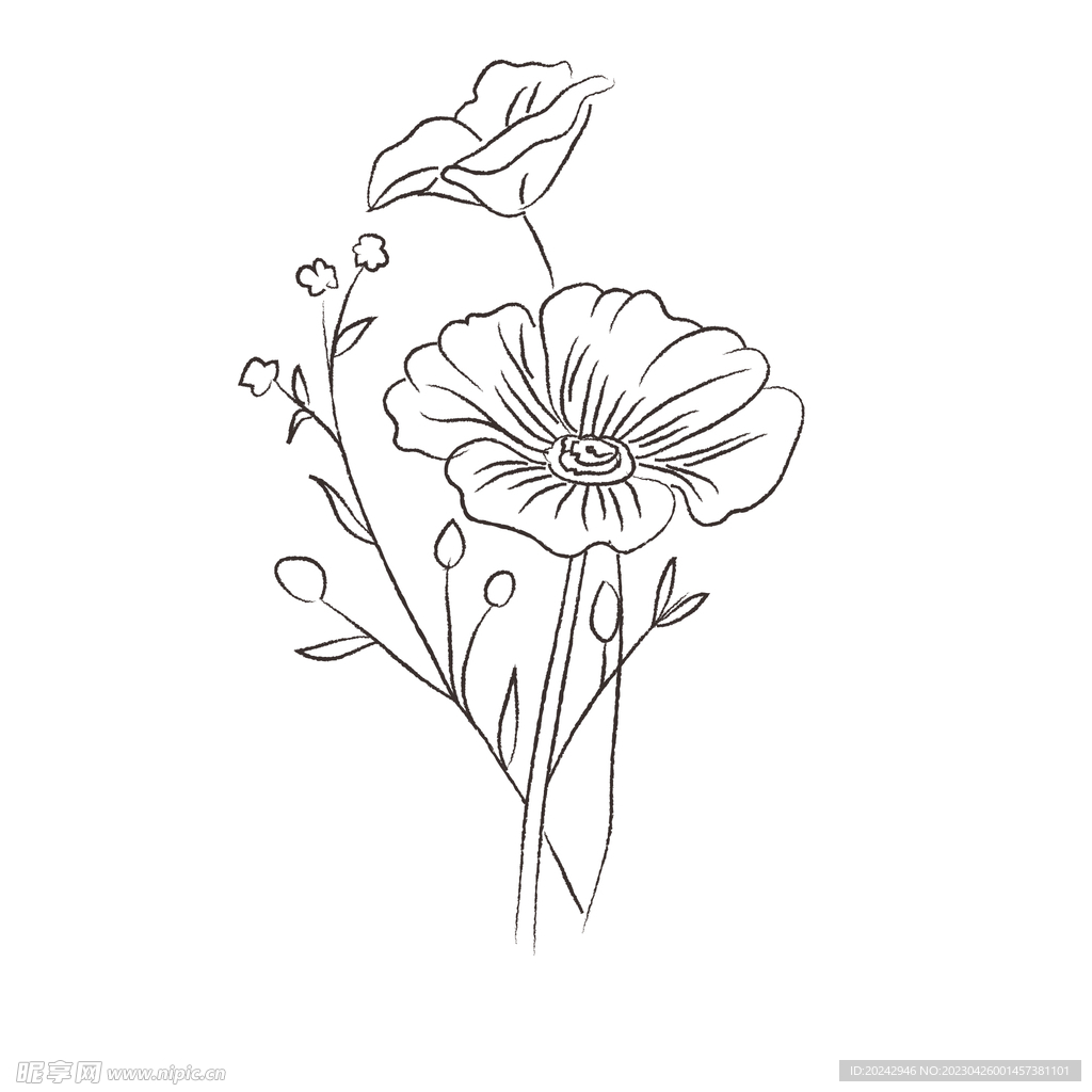 花卉黑白线稿