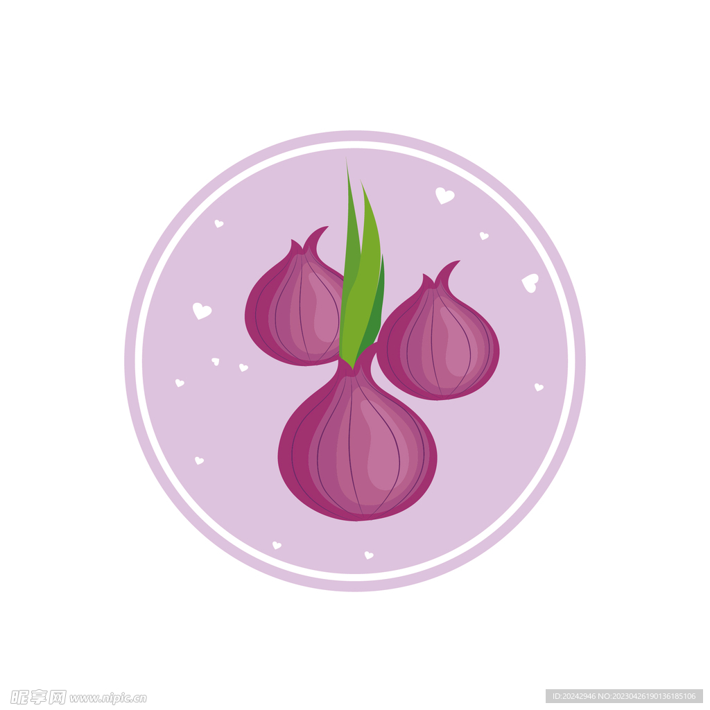洋葱插画 