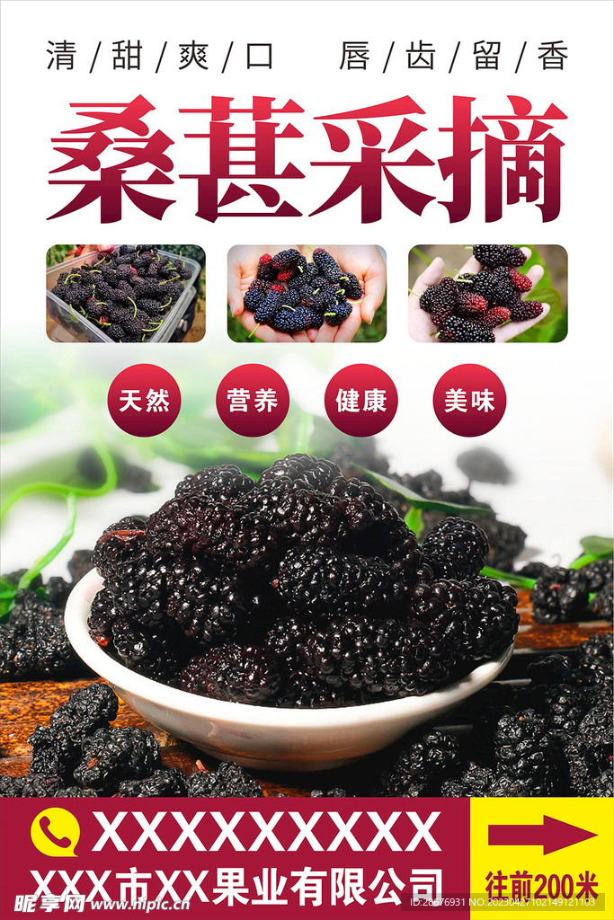 桑葚采摘海报指示牌