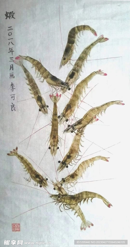   精品 国画 虾 