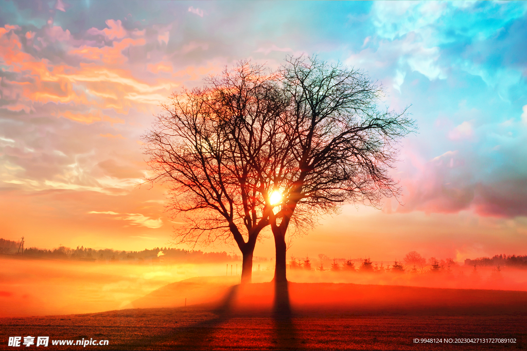 树木夕阳落日云彩油画装饰画