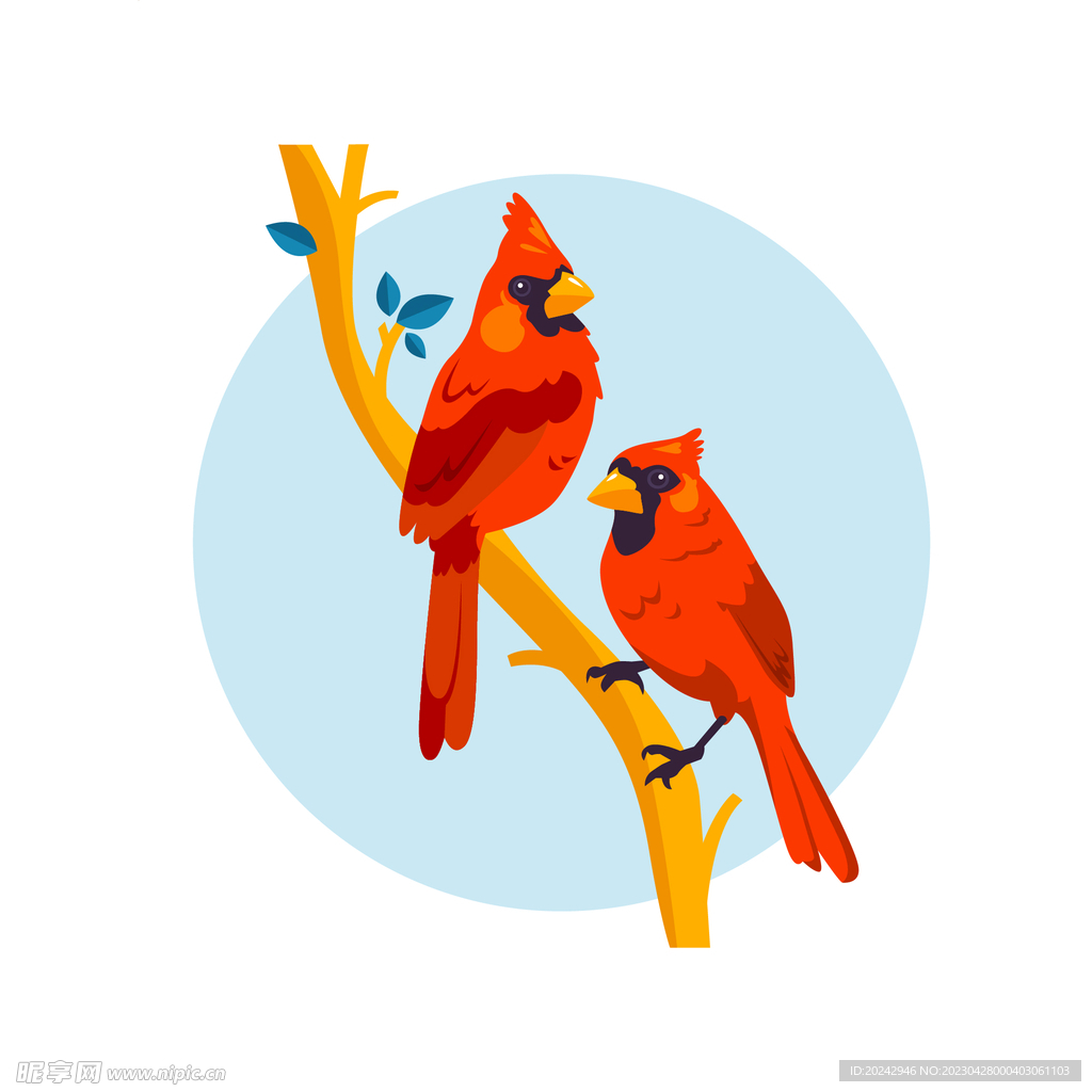 红色小鸟插画 