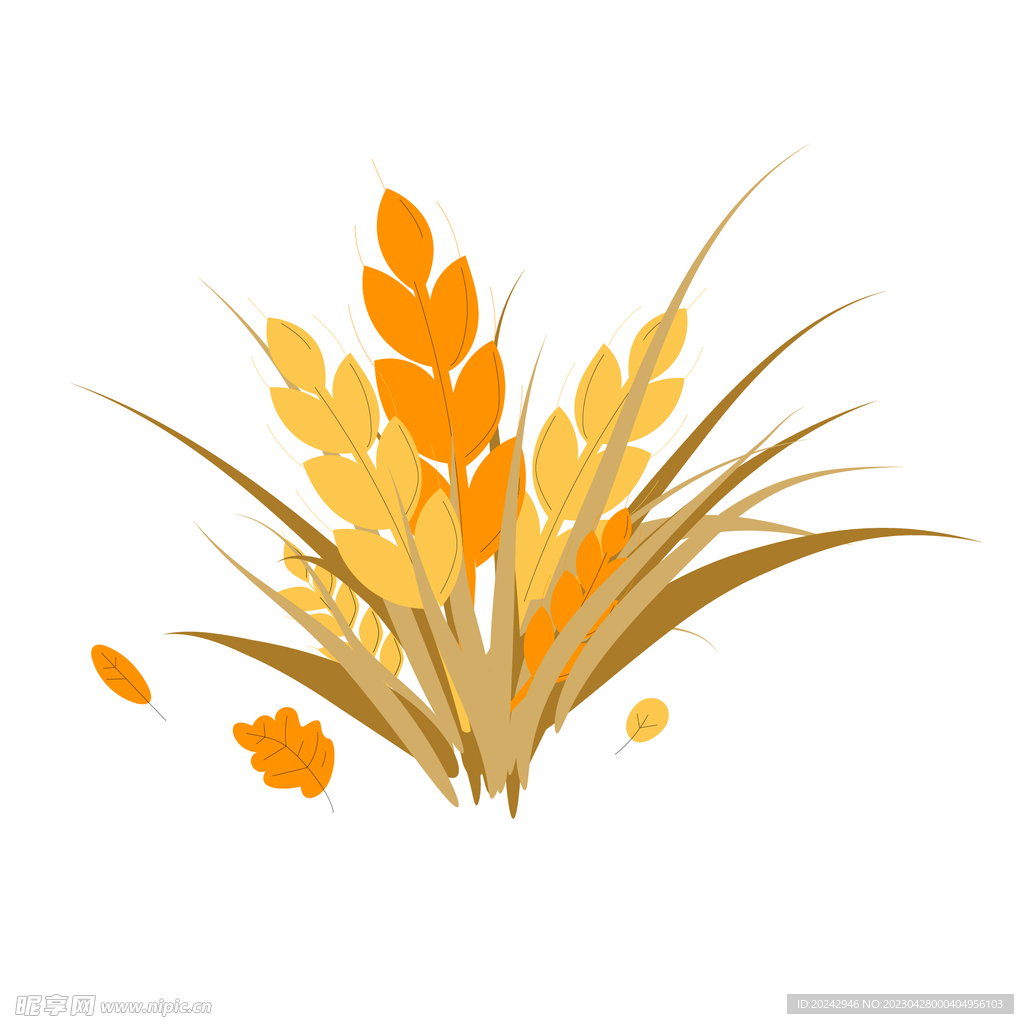  金色麦子素材