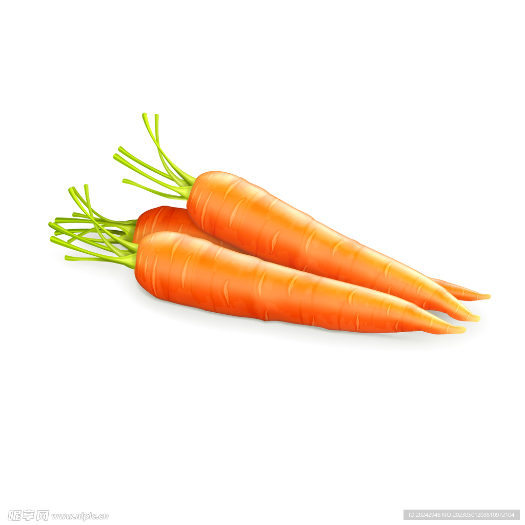 胡萝卜 