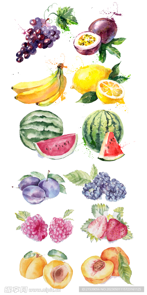 手绘水彩水果