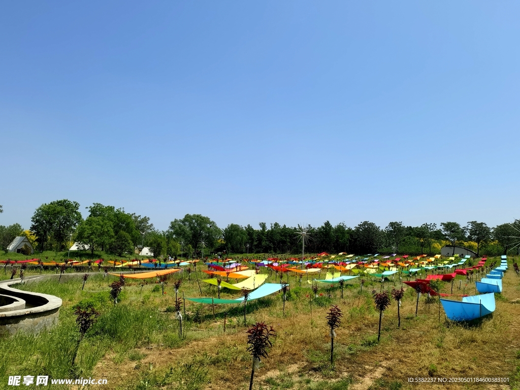 公园彩色露营帐篷