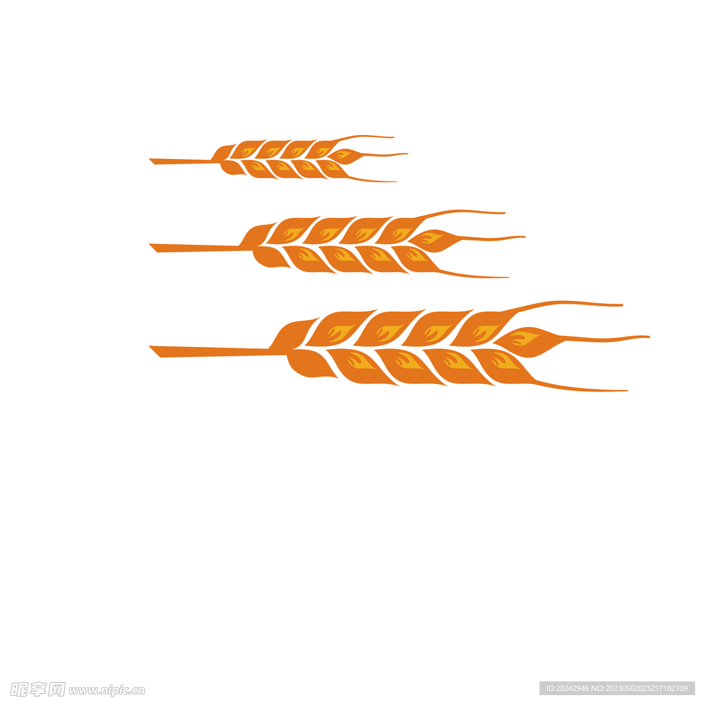麦穗插画  