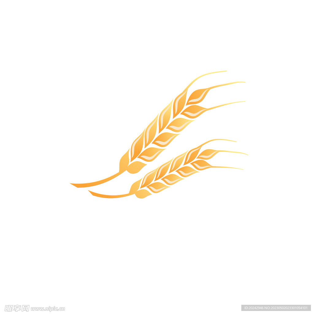  金色麦穗插画  