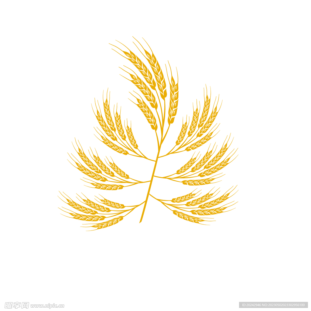  麦穗插画  