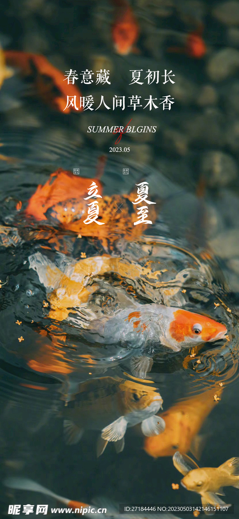 立夏夏至节气海报