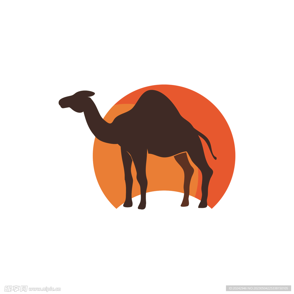 骆驼