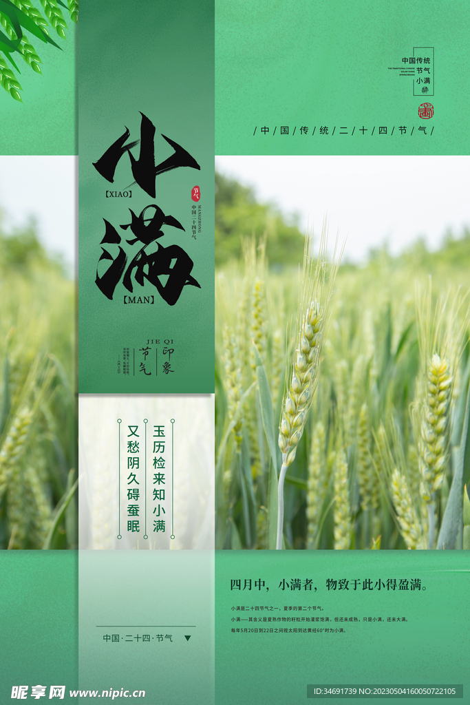 小满节气海报