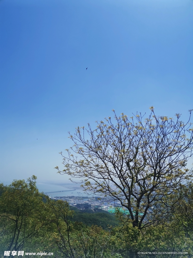 云台山风景 云海风景 黄昏 意