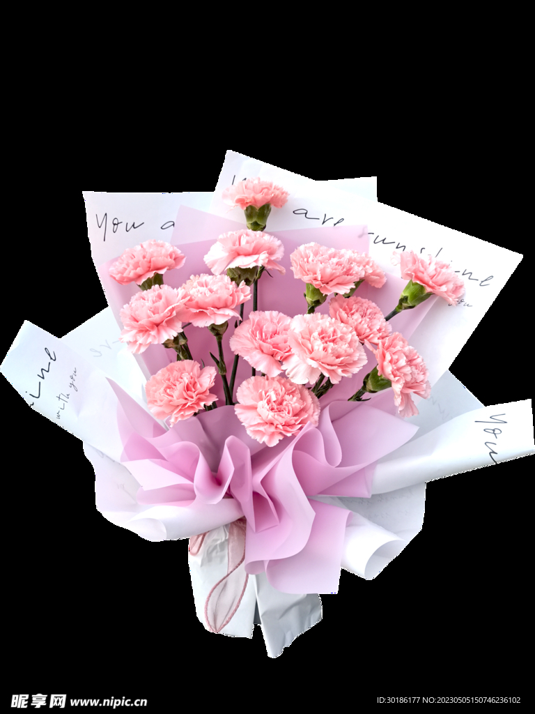 康乃馨花束免扣图