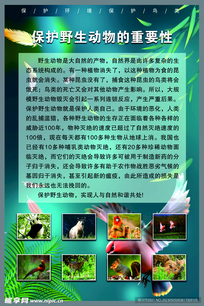 保护野生动物的重要性