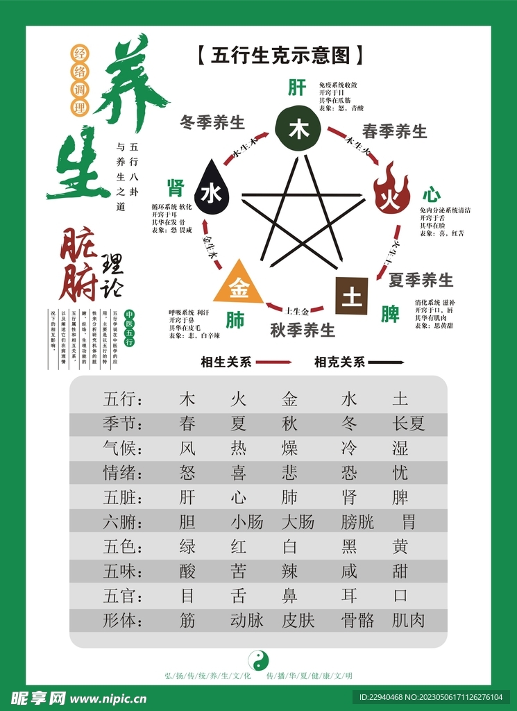 养生五行图
