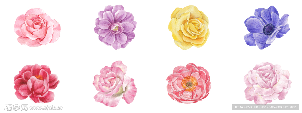 水彩花朵花卉