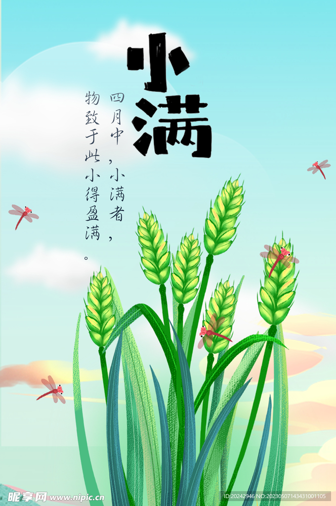 小满节气海报 