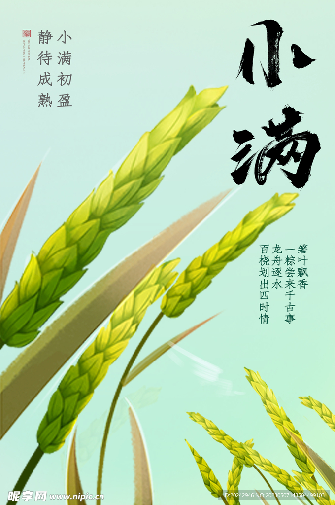 小满节气海报  