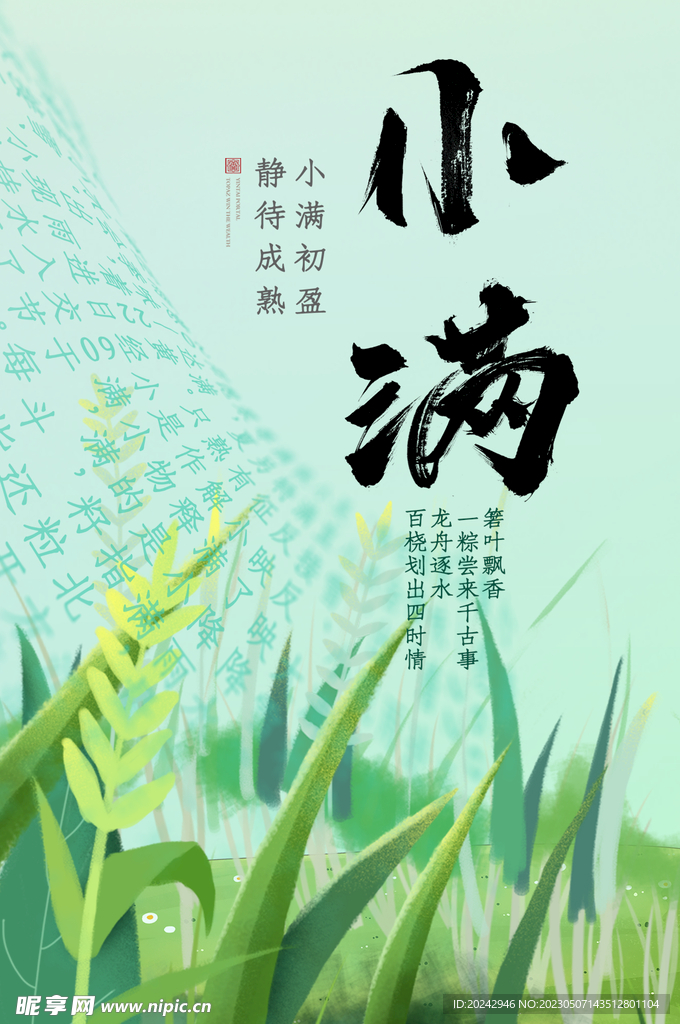 小满节气海报 