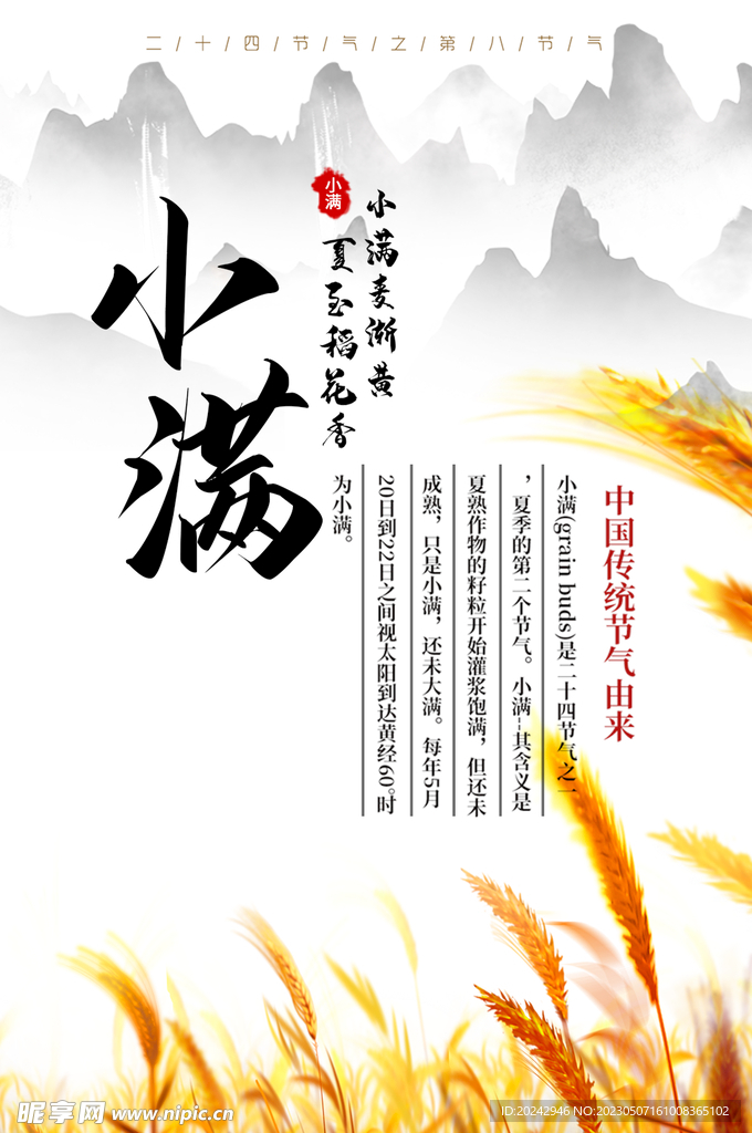 小满节气海报 