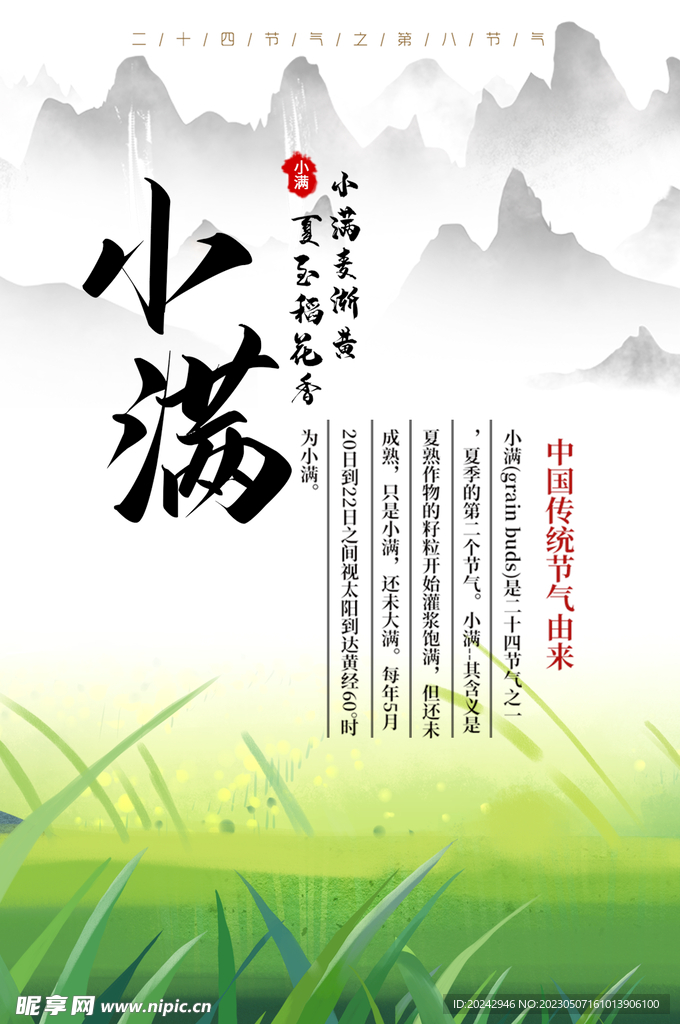 小满节气海报 