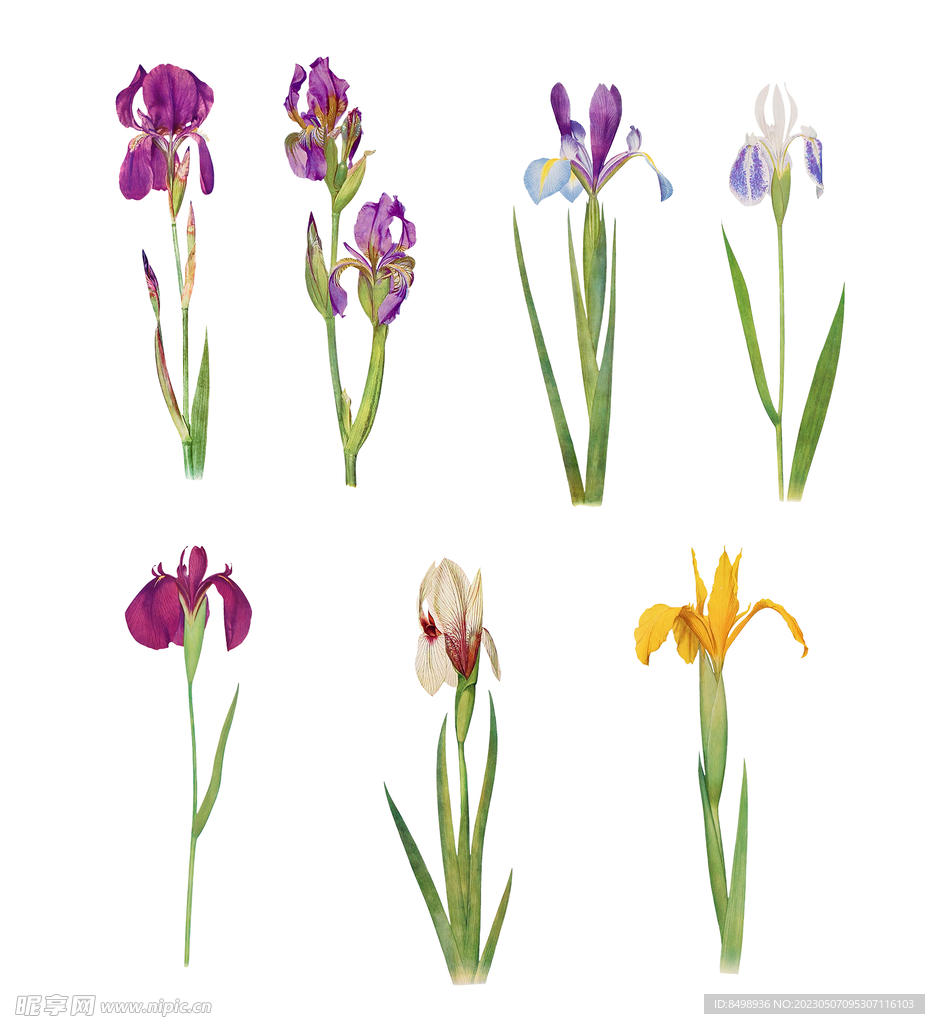 紫色 复古 小花