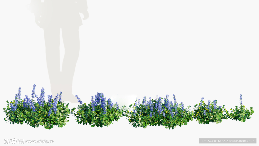 C4D模型  绿色植物