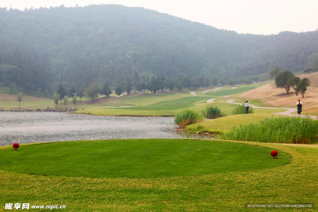 高尔夫球草坪