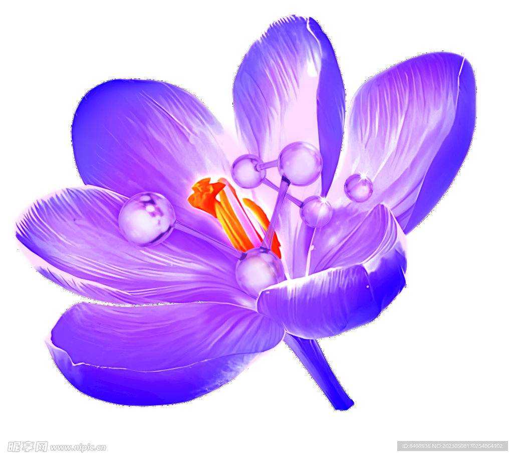 紫色花丁香花 科技