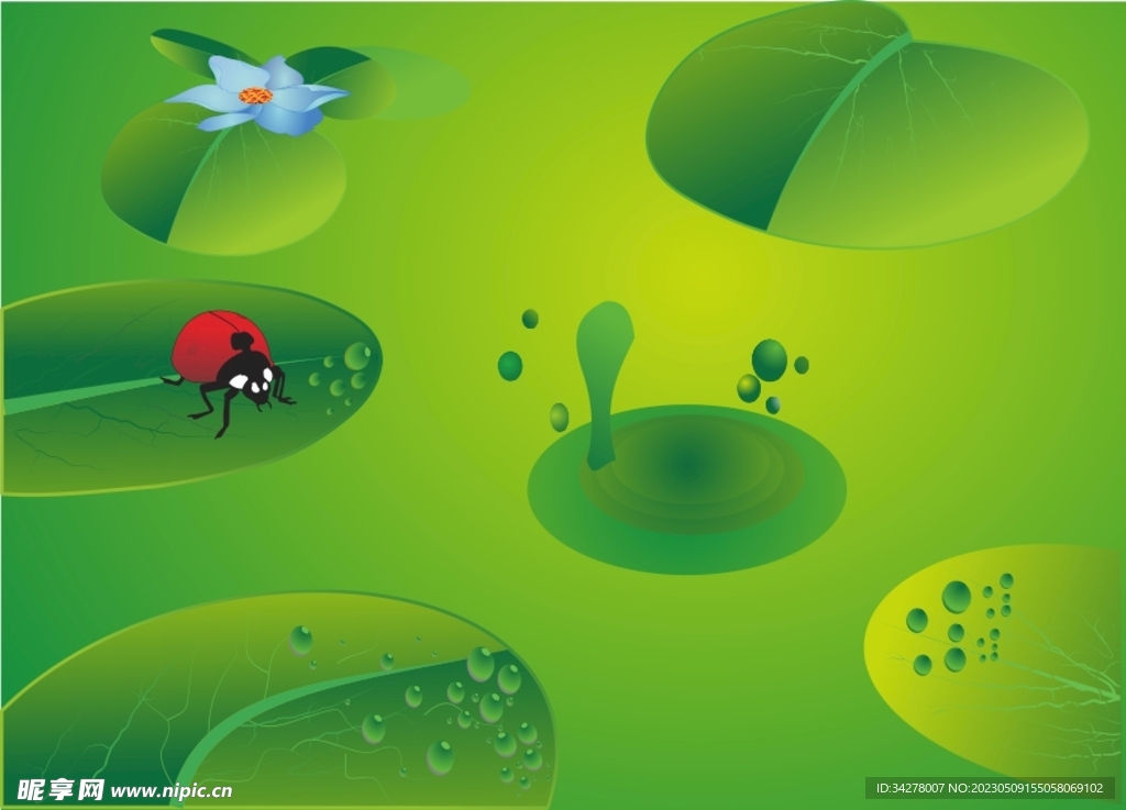 清新绿色荷叶瓢虫