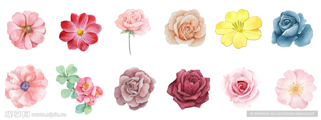 美丽水彩花卉