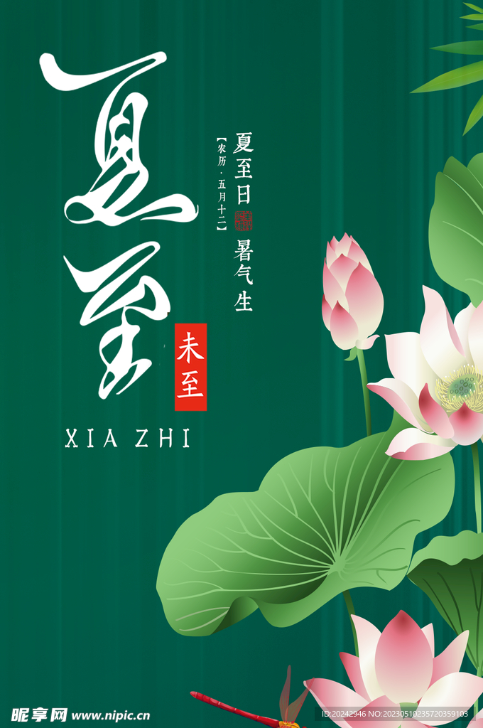  夏至节气海报 中国风荷花  