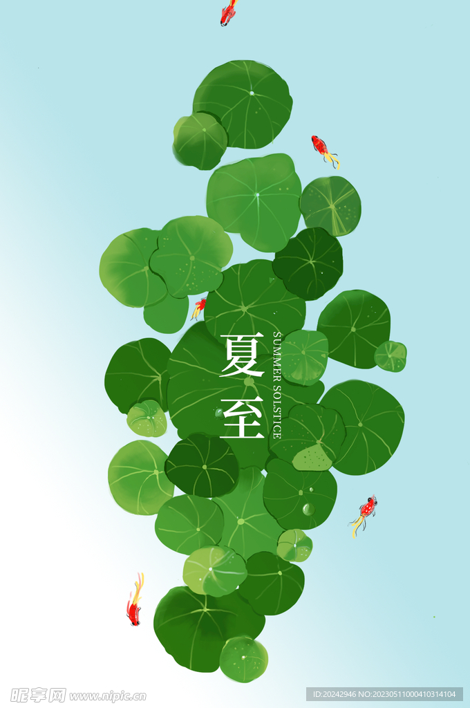 夏至节气海报 中国风荷花  