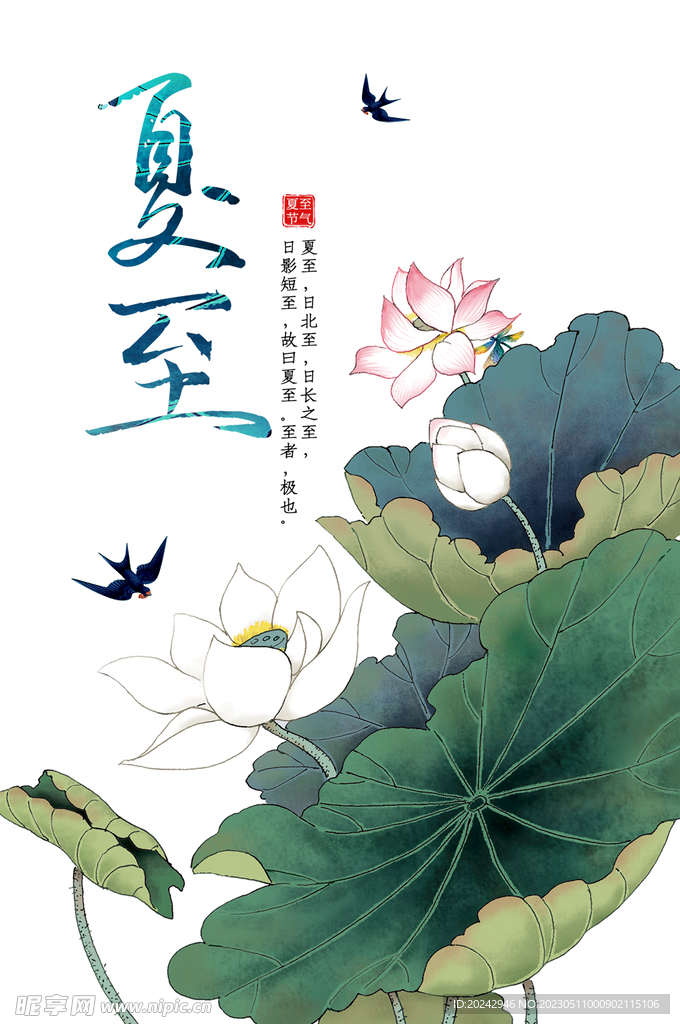  夏至节气海报 中国风荷花  