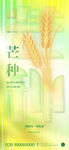 简约芒种节气海报