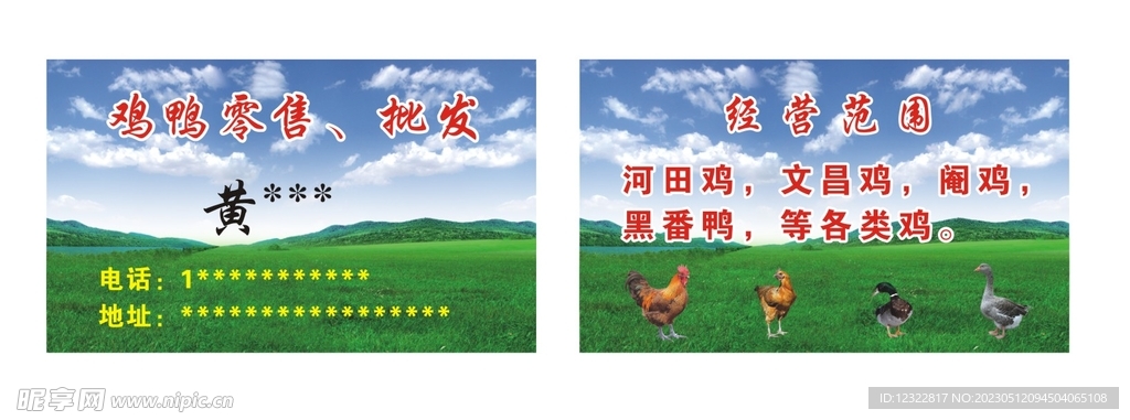 鸡鸭名片