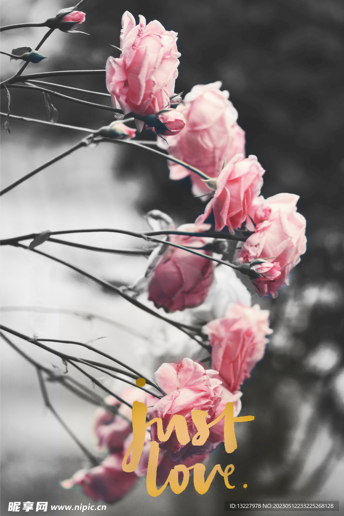 客厅现代装饰画高清图片