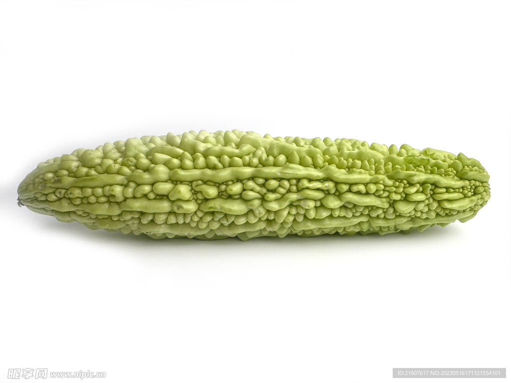 一整条新鲜苦瓜白底图