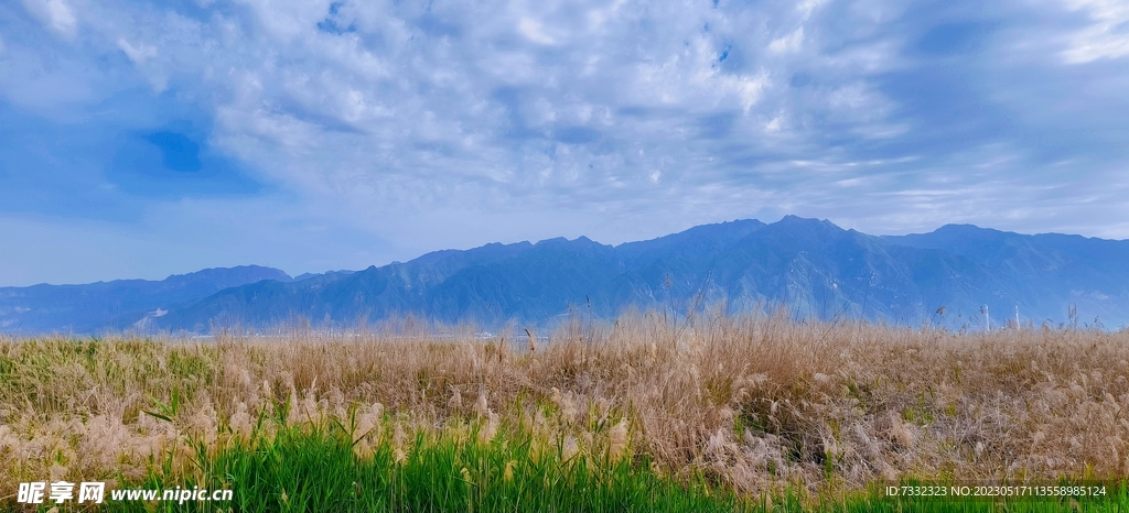 伍姓湖   中条山 永济 绿水
